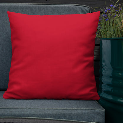 Decorative Ladybug Throw Pillow