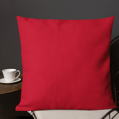 Decorative Ladybug Throw Pillow